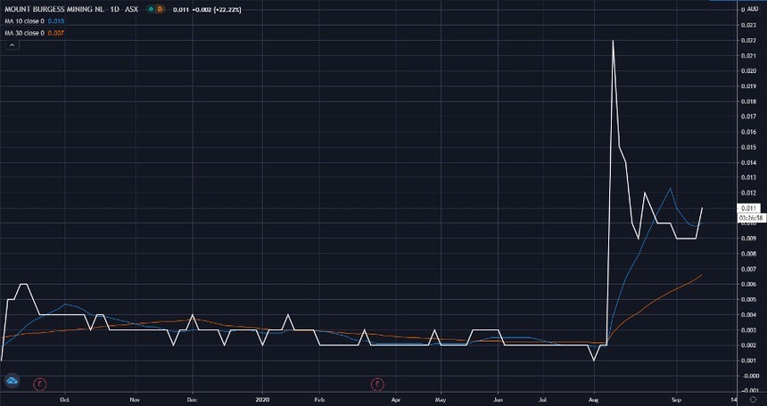 ASX MTB Share Price Chart - Mount Burgess